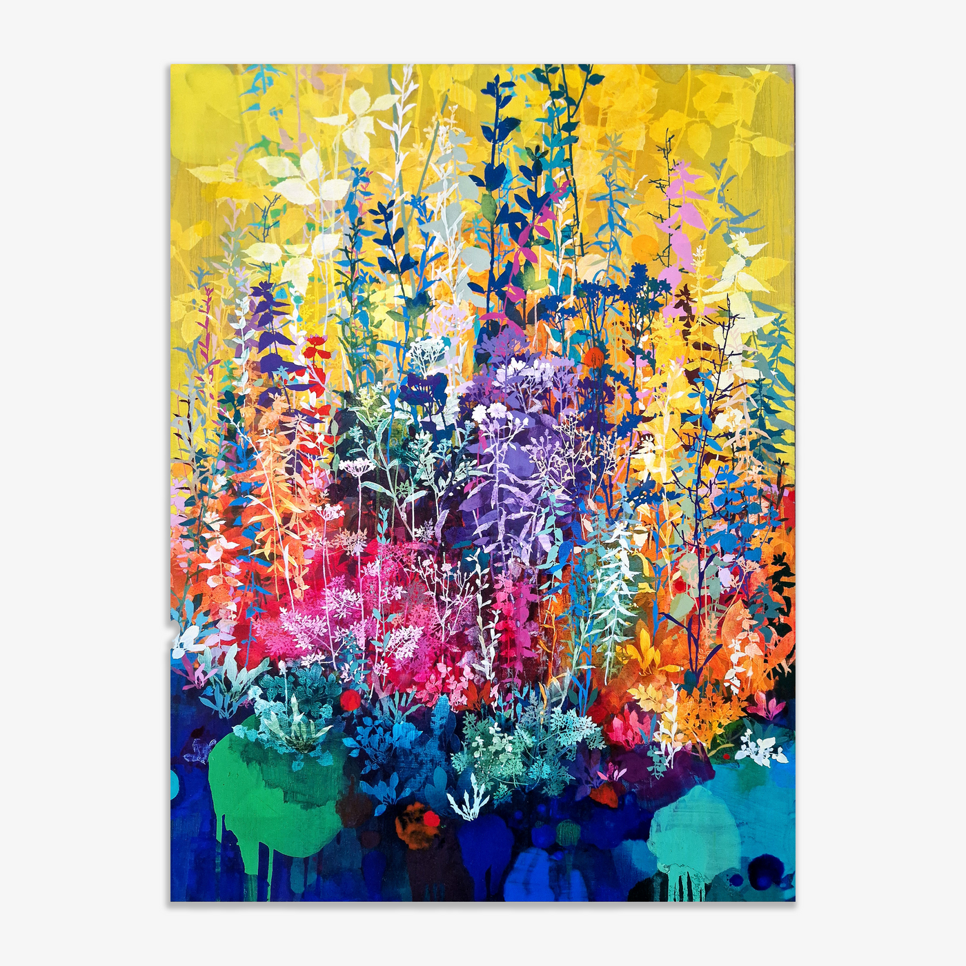 Colours, 2025