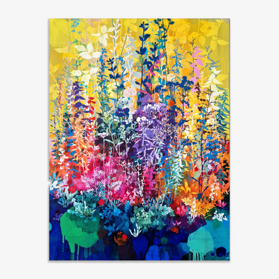 Colours, 2025