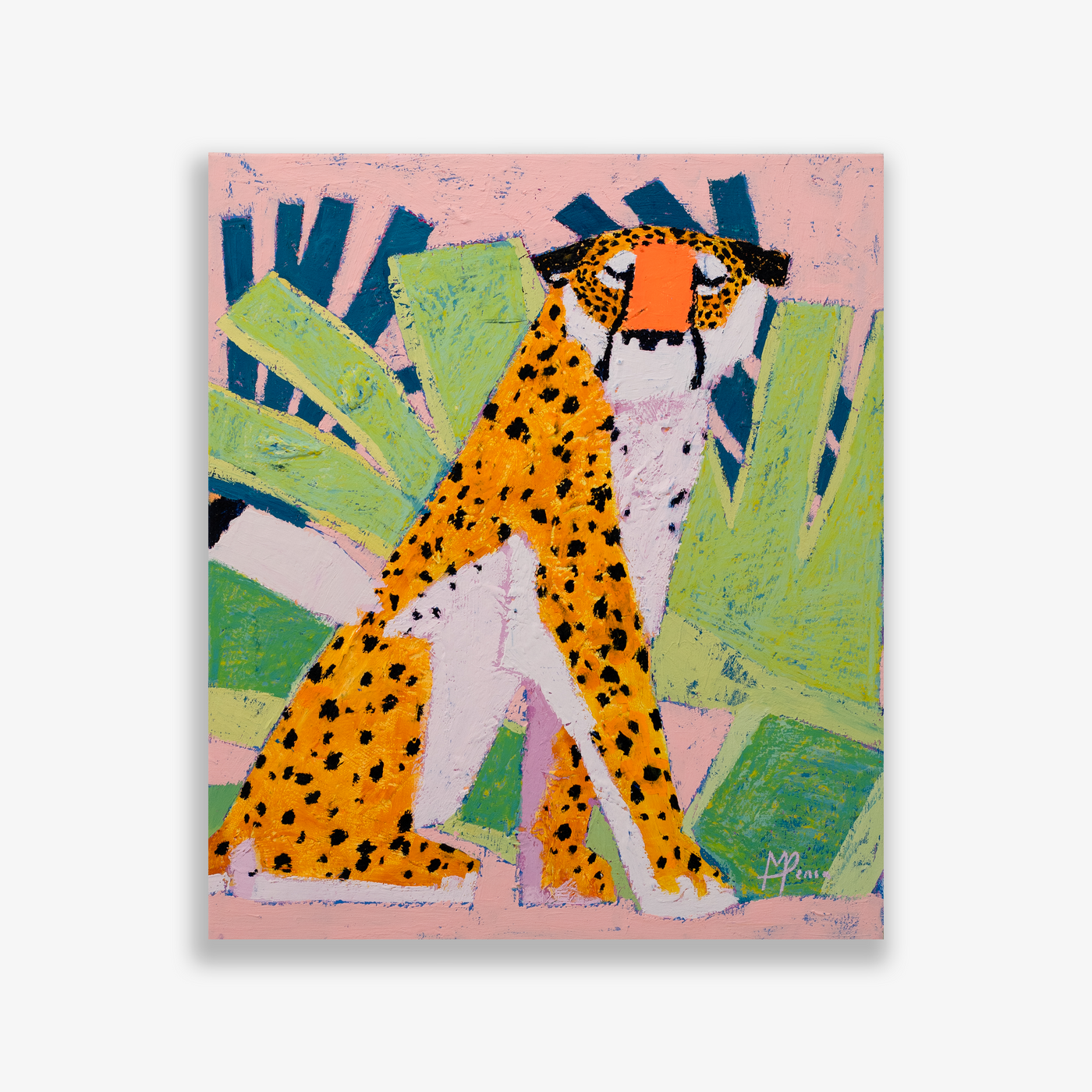 Indigo Cheetah, 2024