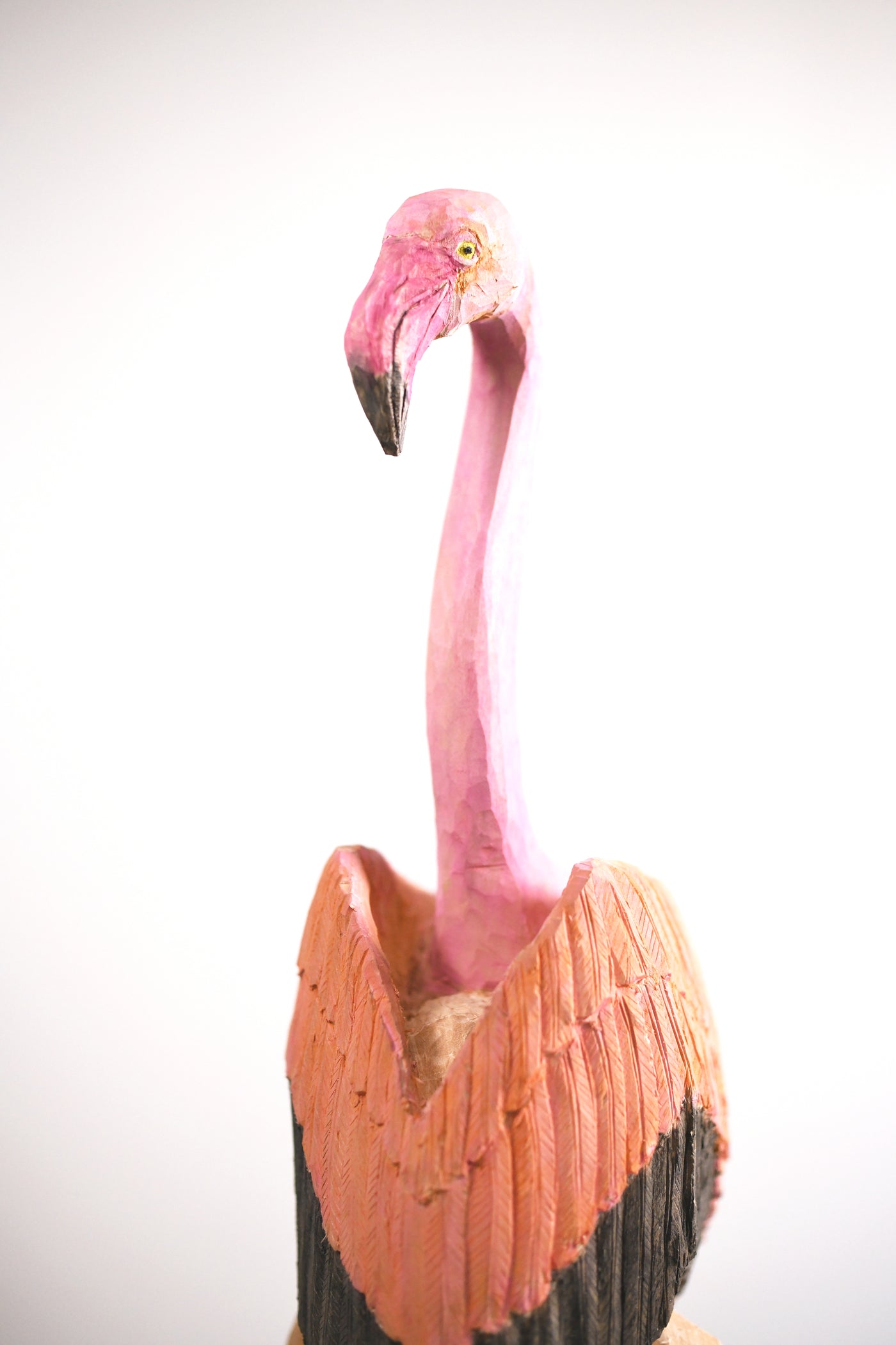 Flamingoman, 2025