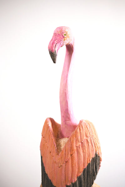 Flamingoman, 2025