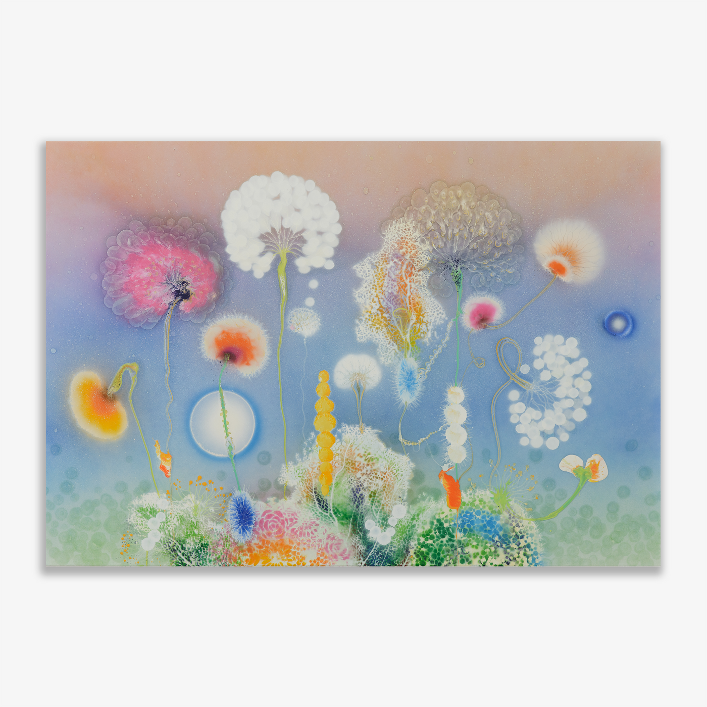 Primavera Aurora, 2025