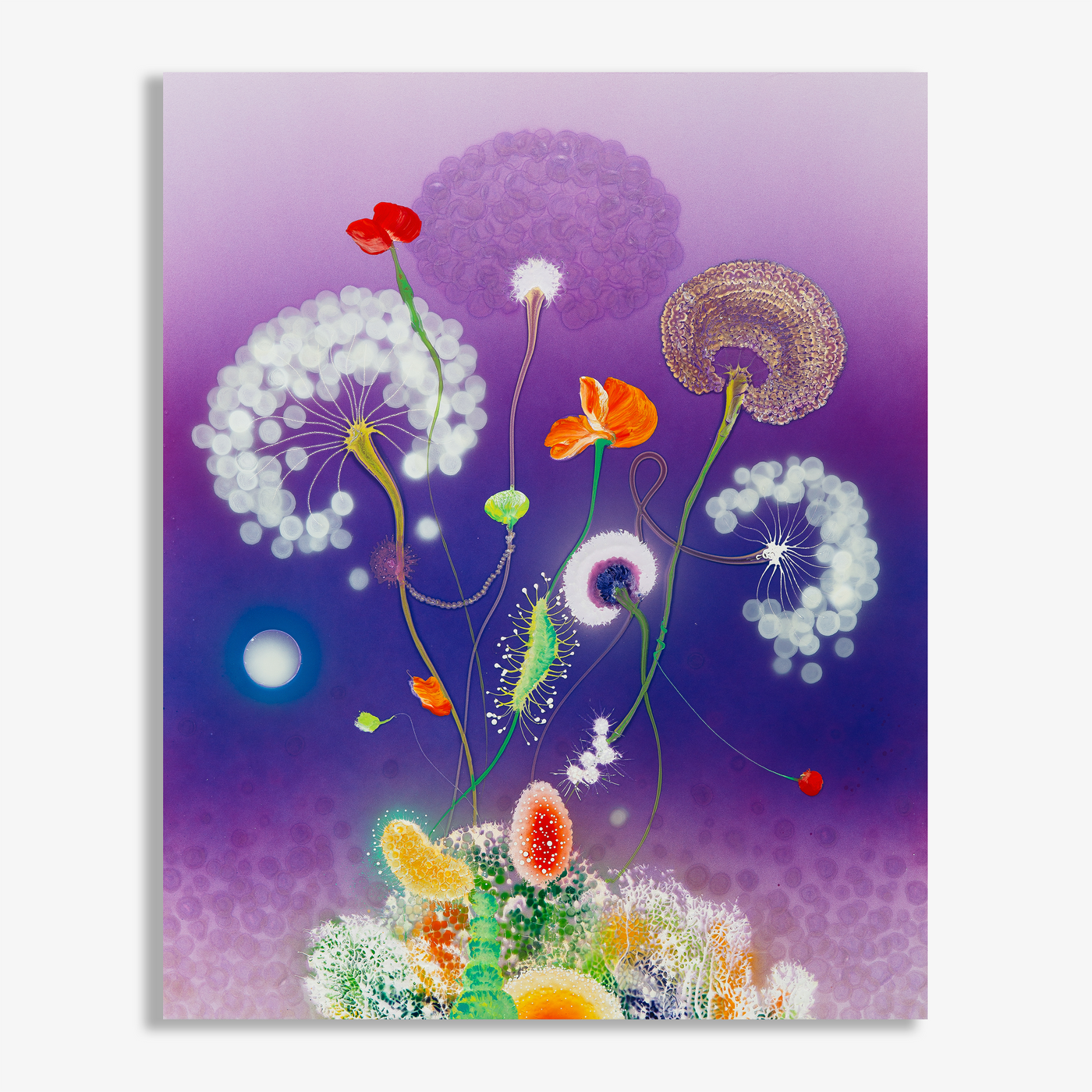 Primavera Purple Moon, 2025