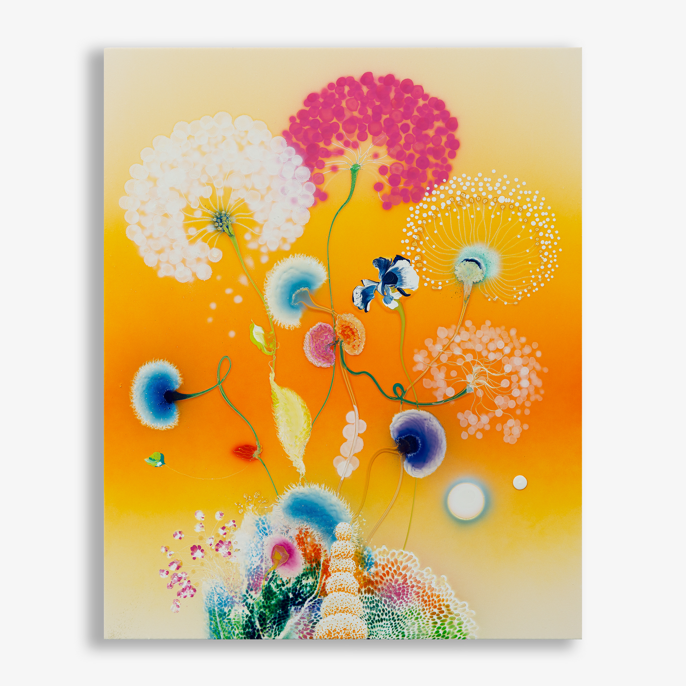 Primavera Zenith, 2025