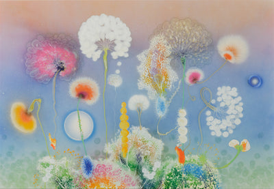 Primavera Aurora, 2025
