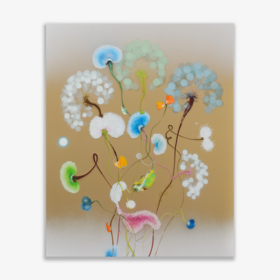Raingarden Golden Blossom, 2025