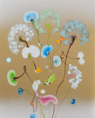 Raingarden Golden Blossom, 2025