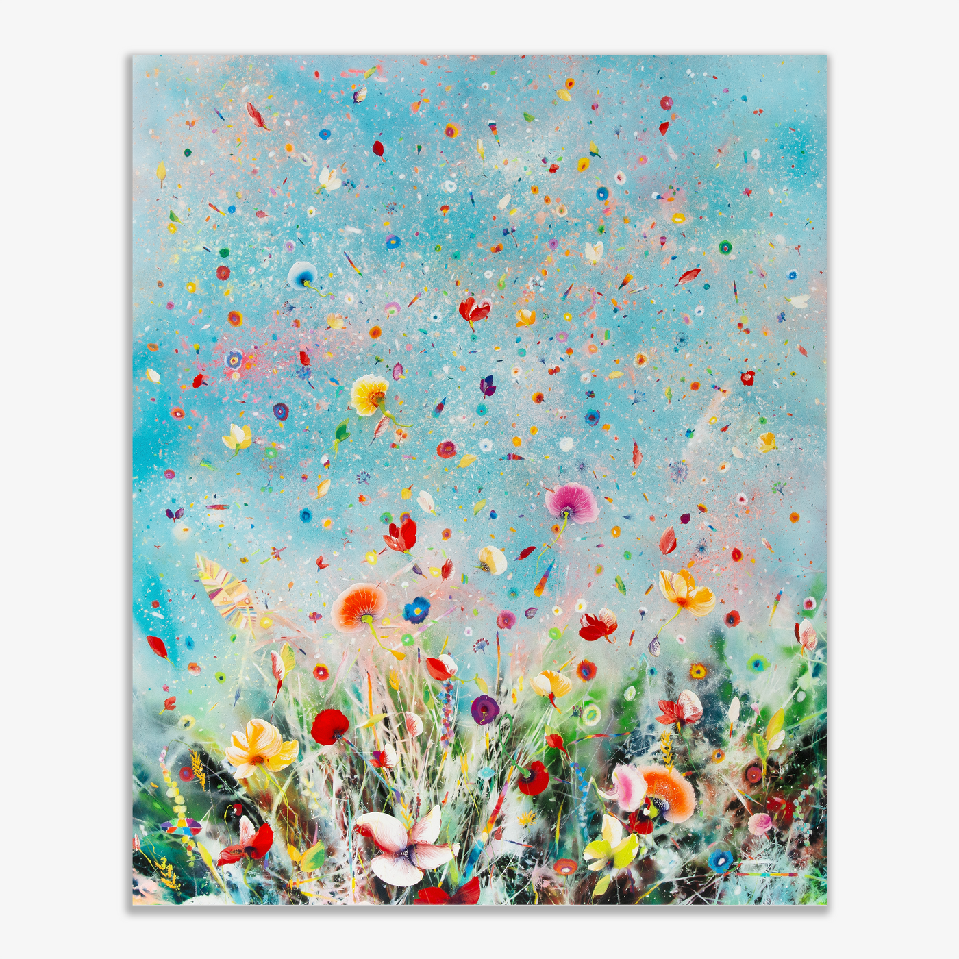 Silent Winds Dusty Miller, 2025