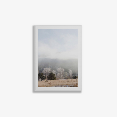 The Naked Dawn, 2017