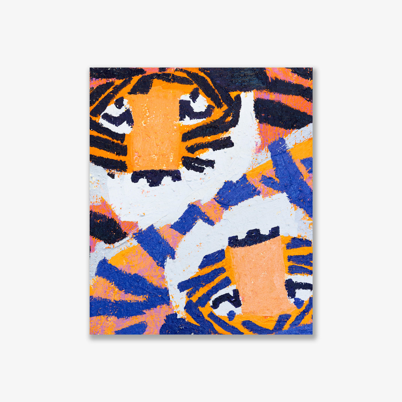 lapis tiger duo 1, 2025