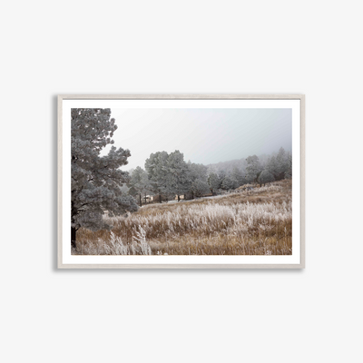 Moonshine Valley, 2017