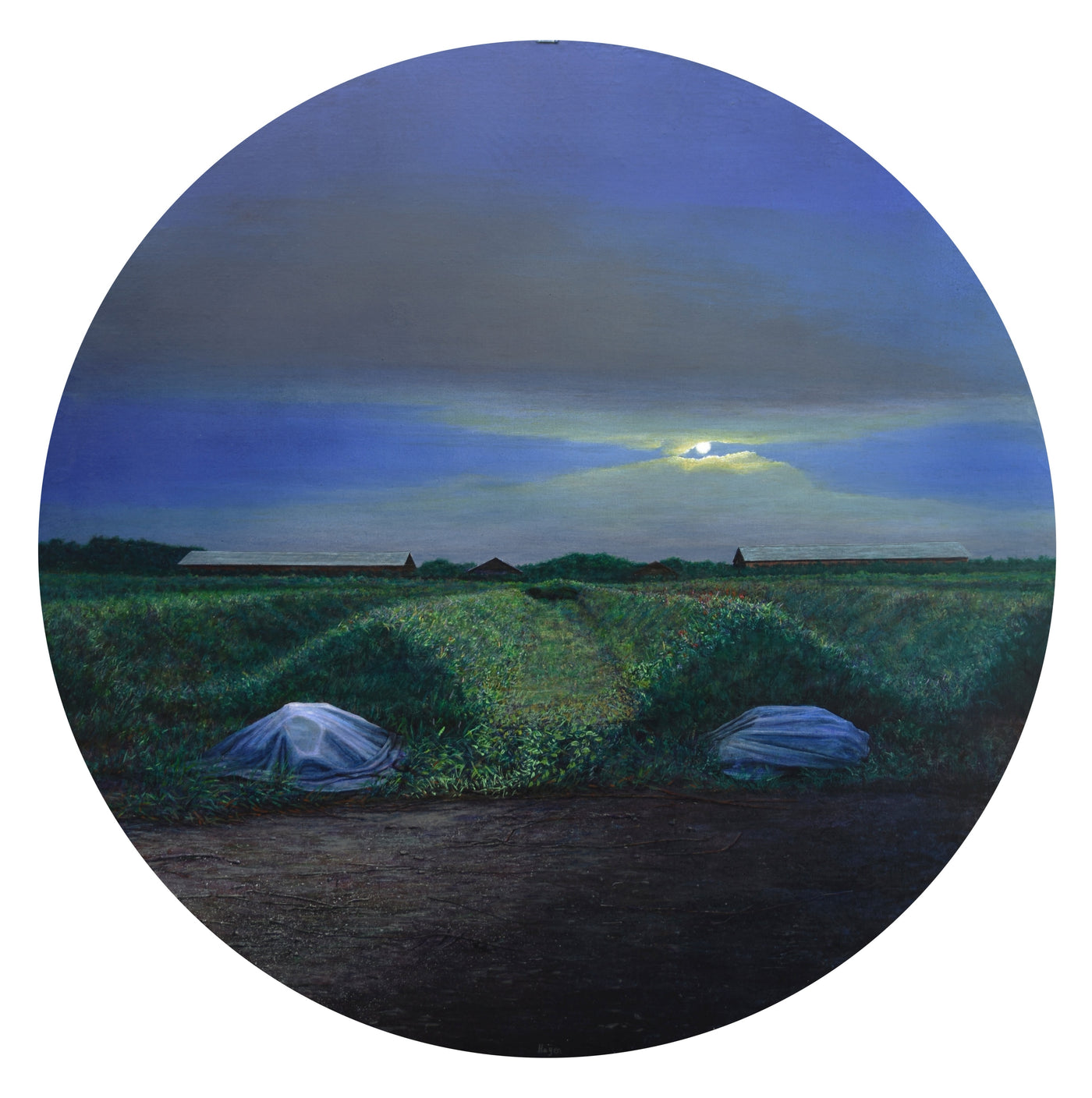 Closter5-Lunefulde Luna, 2021