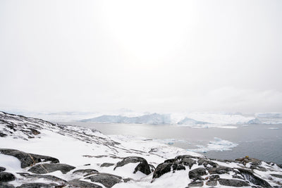 Ilulissat II, 2022, Photograph