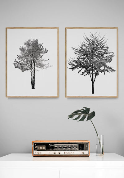 Tree Inkblot Test II, 2022