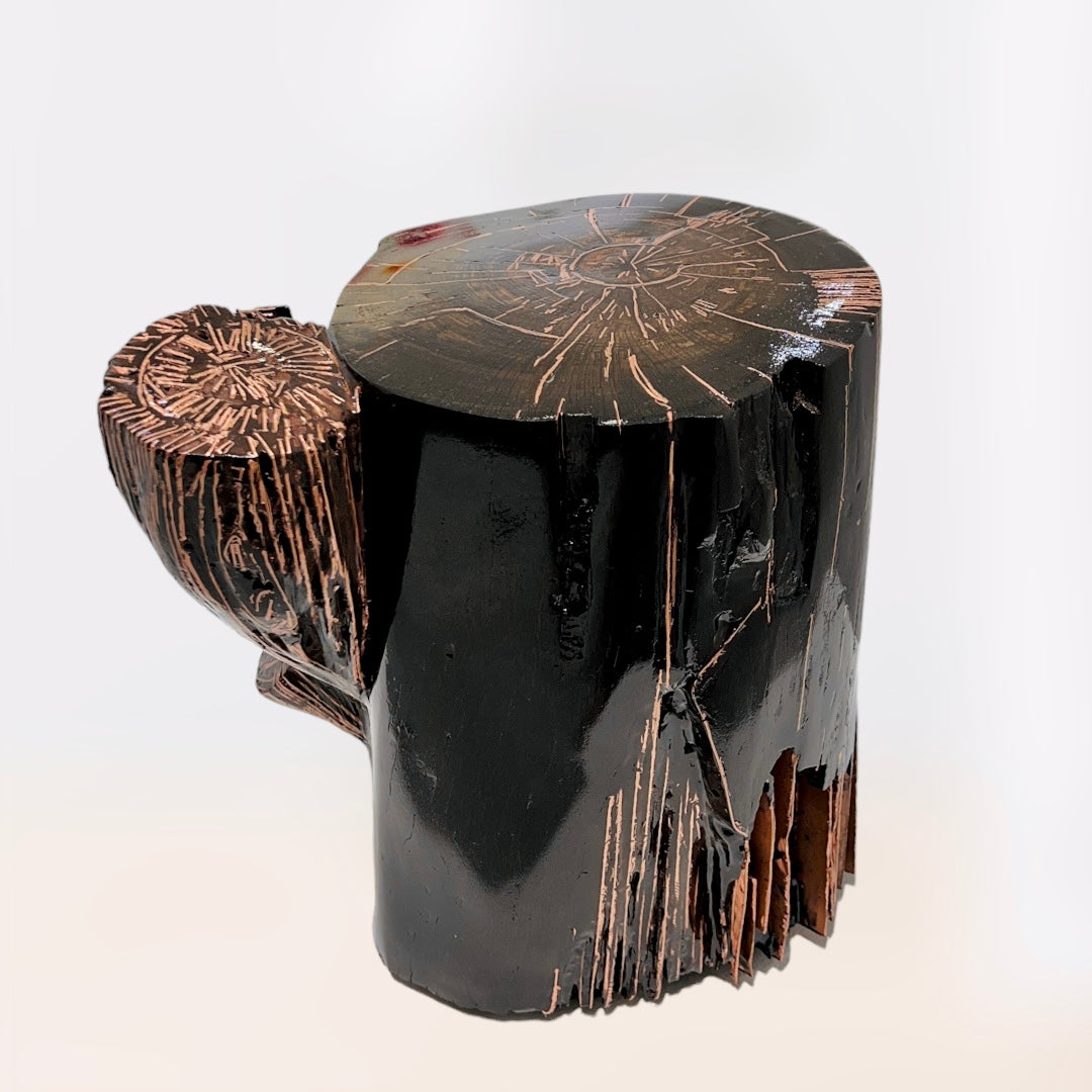 1000 yr. old Bog oak with copper, 2022