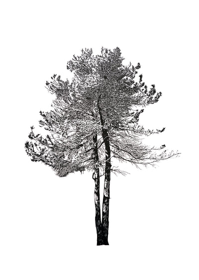 Tree Inkblot Test I, 2022